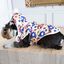 Outech Spring Casaco para cães, , large Indicador imagem número 3